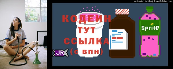 гашик Киренск